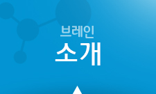 브레인 소개